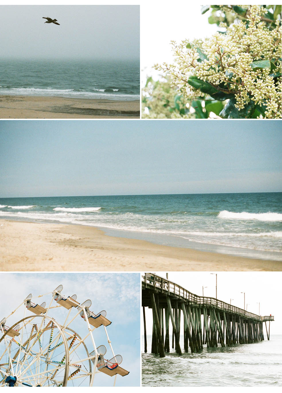 film virginia beach pier