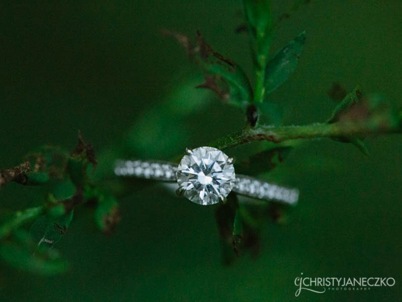 engagement ring chippewa falls irvine