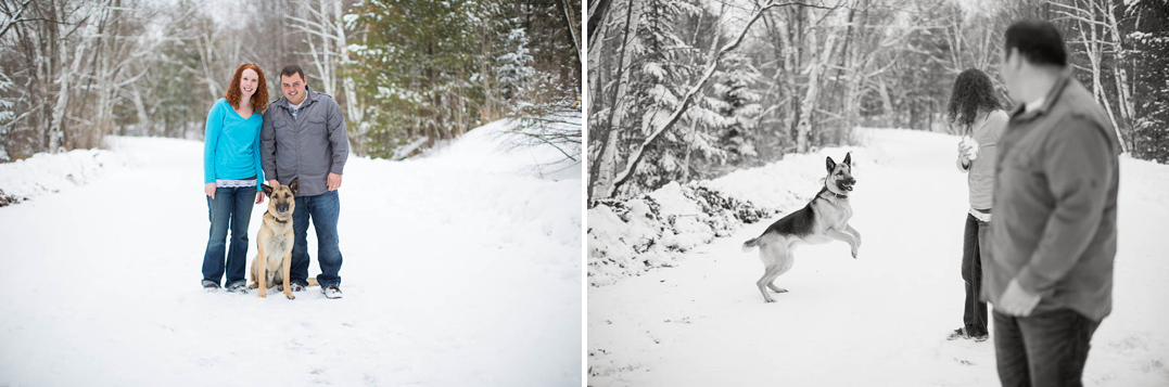 new auburn wi engagement photographer snowy winter session dog
