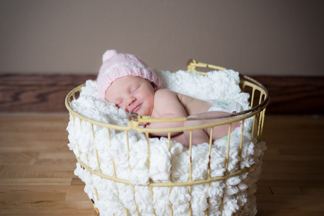 in home christmas newborn session sand creek wi