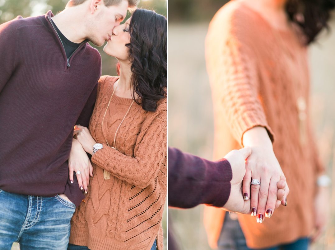 late fall elk mound engagement session