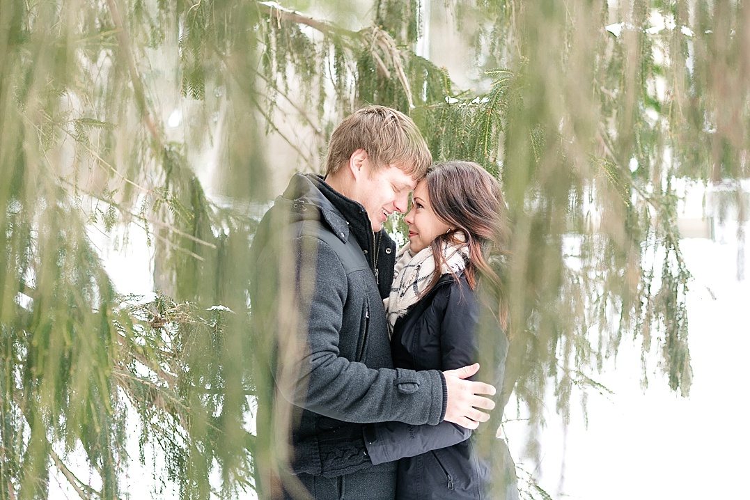 couple in black coats tucked under a pine for their winter engagement photos in wisconsin