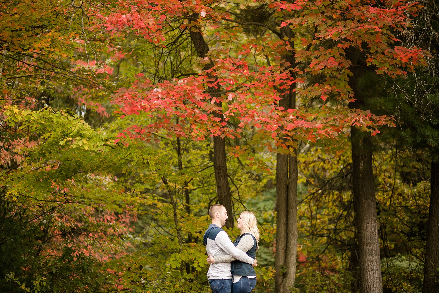 The leaves just starting to turn with vibrant colors, it was a perfect way to ease into fall with Danni & Anthony's fall engagement session in Chippewa Falls.