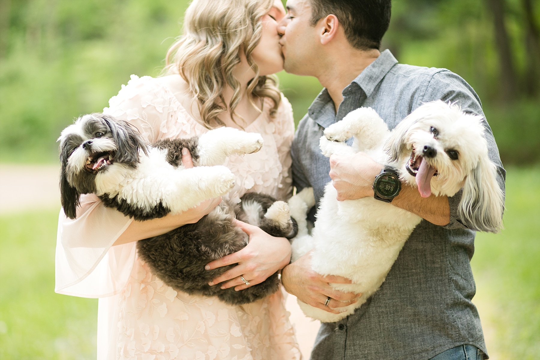 couple kissing with a dog in each arm