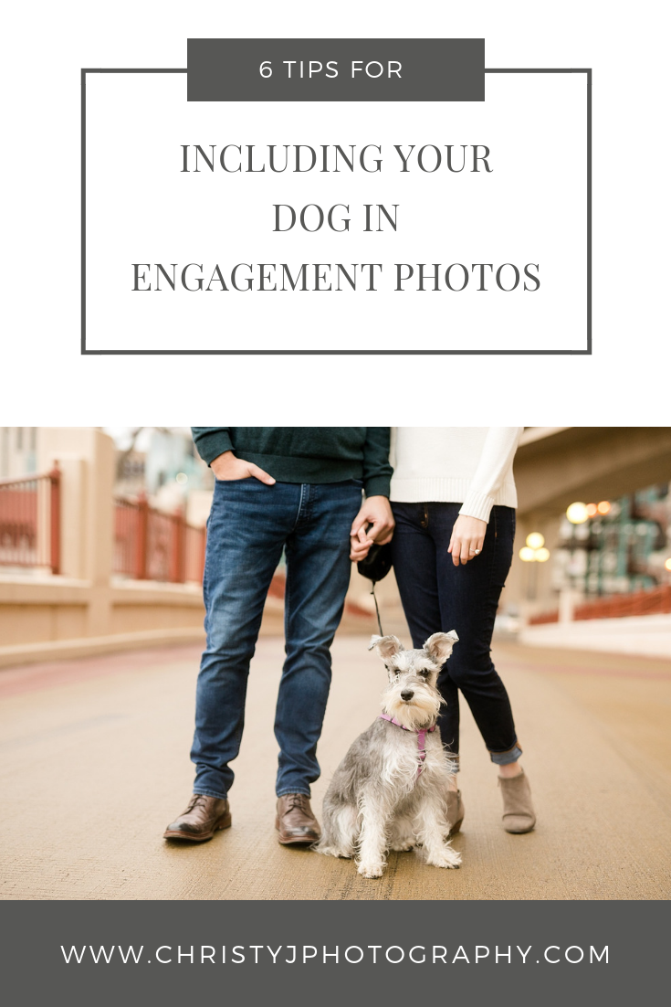 Couples legs with their dog looking at the camera in St. Paul