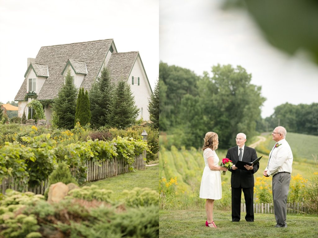 photo of cottage winery vineyard in menomonie wi and a couple eloping overlooking the vines