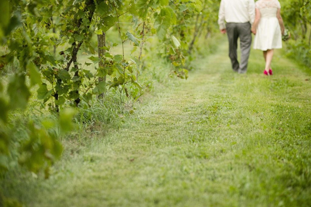 couple blurred out walking through a vineyard after eloping