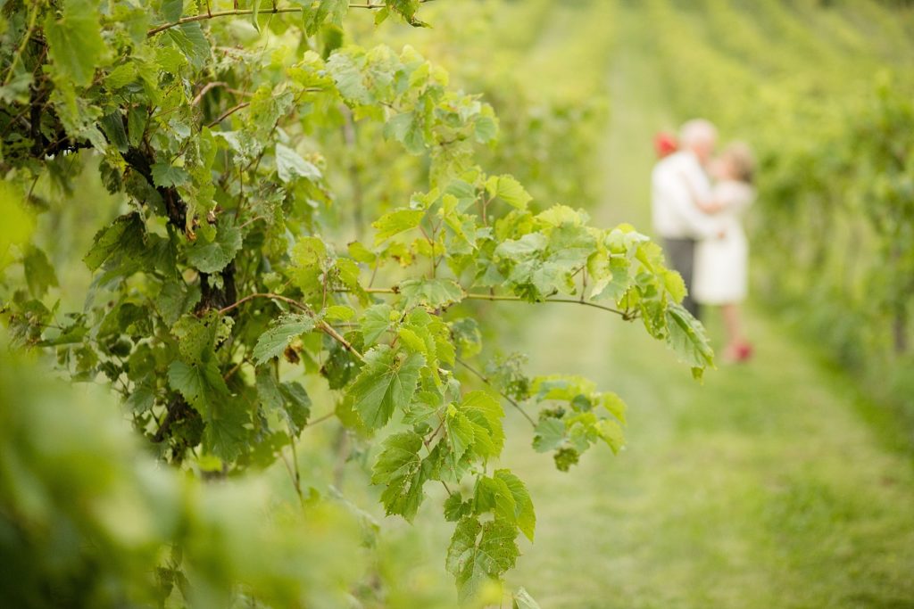 couple in a vinyard that is out of focus to hide their identities until they announced their elopement to their children.
