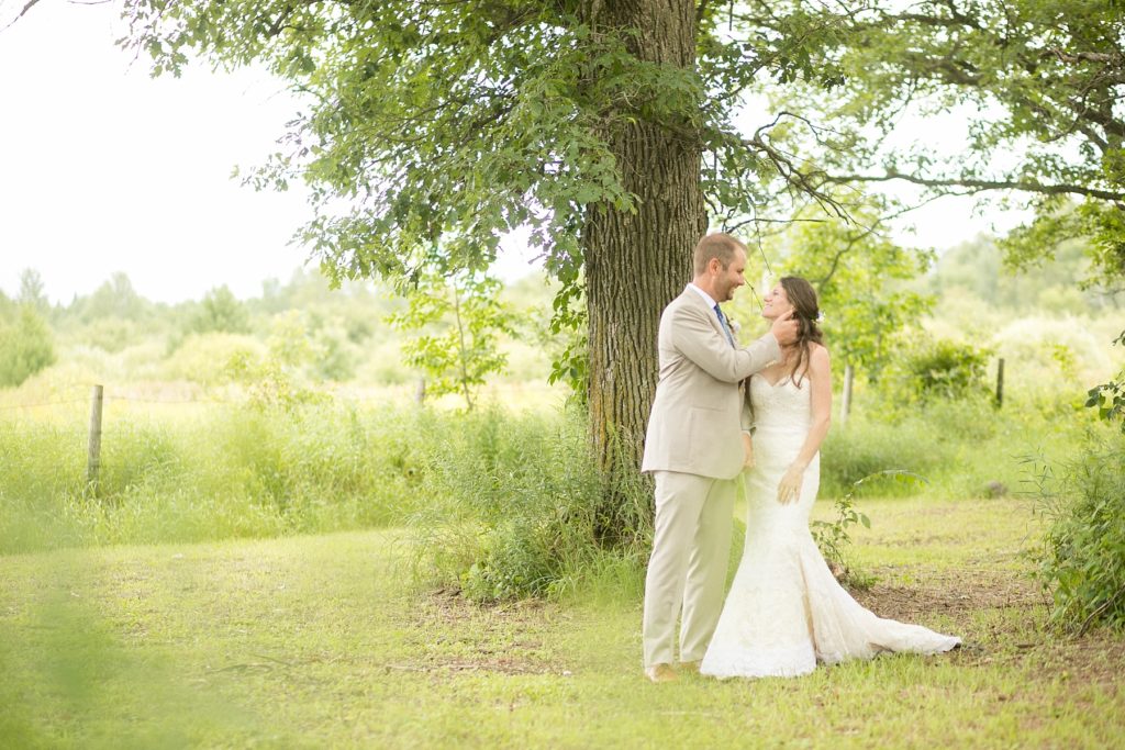 couple under a tree in a field for their intimate childhood home wedding in Wisconsin
