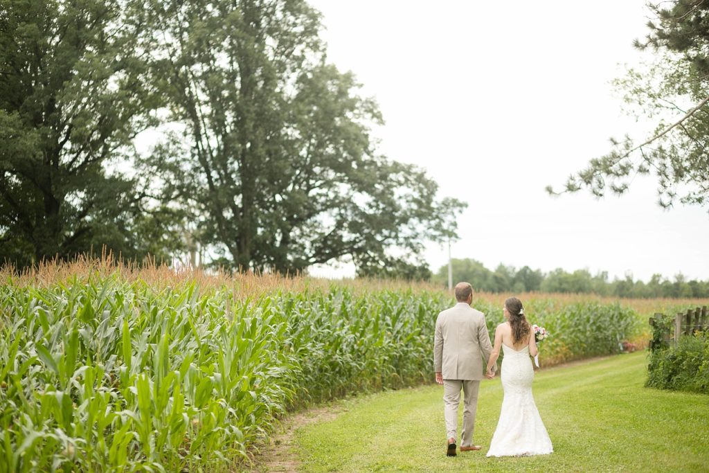 rural Wisconsin wedding couple walking through a corn field