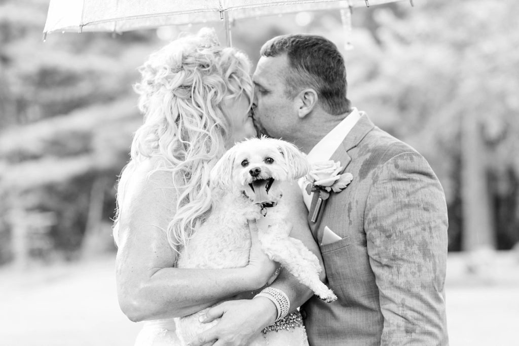 couple kissing on their wedding day with dog in their arms under an umbrella at Irvine Park in Chippewa Falls 