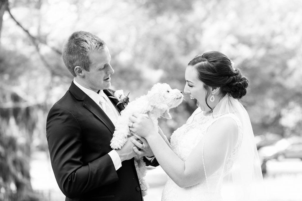 bride and groom with their puppy at Irvine Park in Chippewa Falls